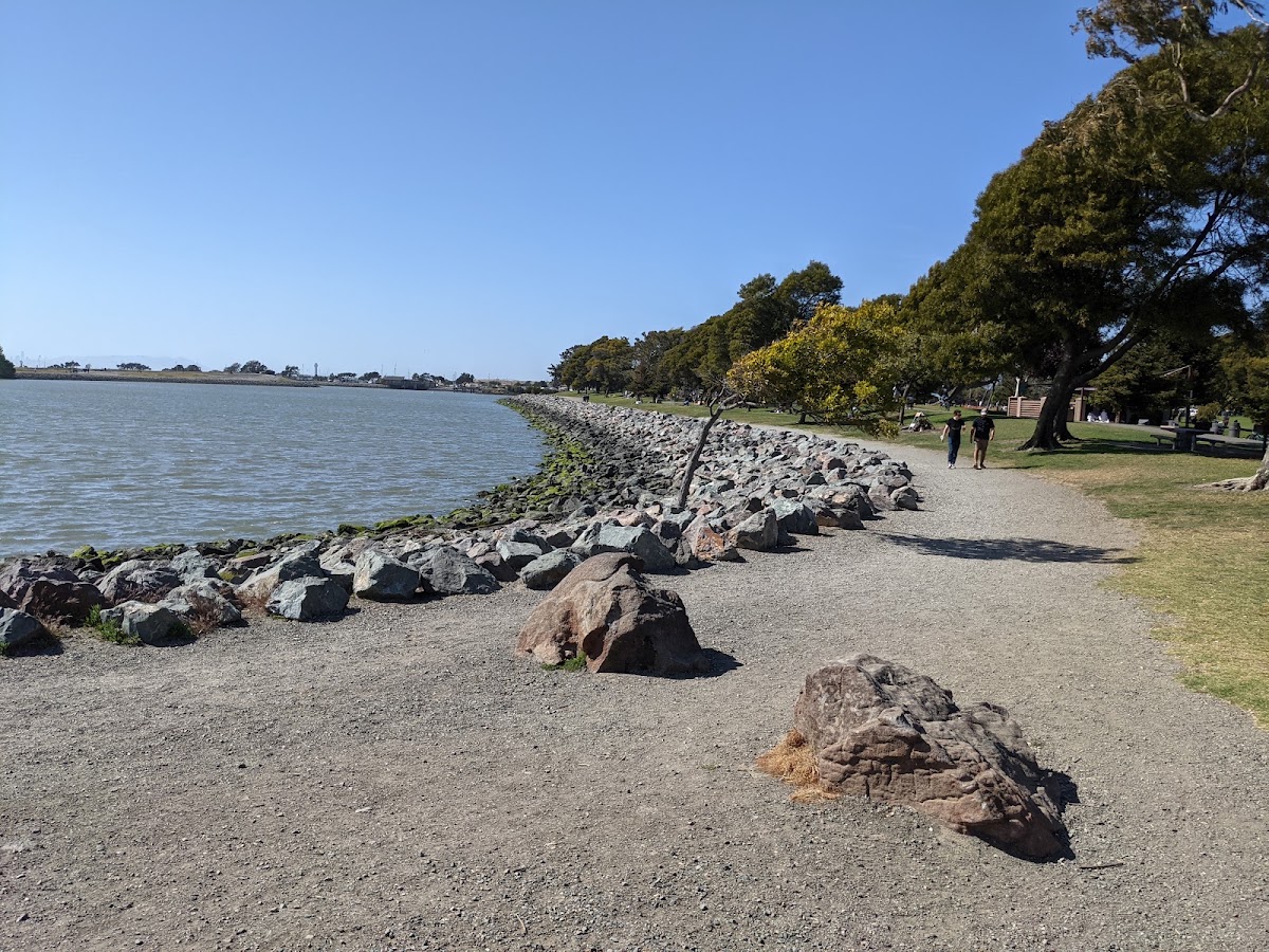 Marina Park photo 2