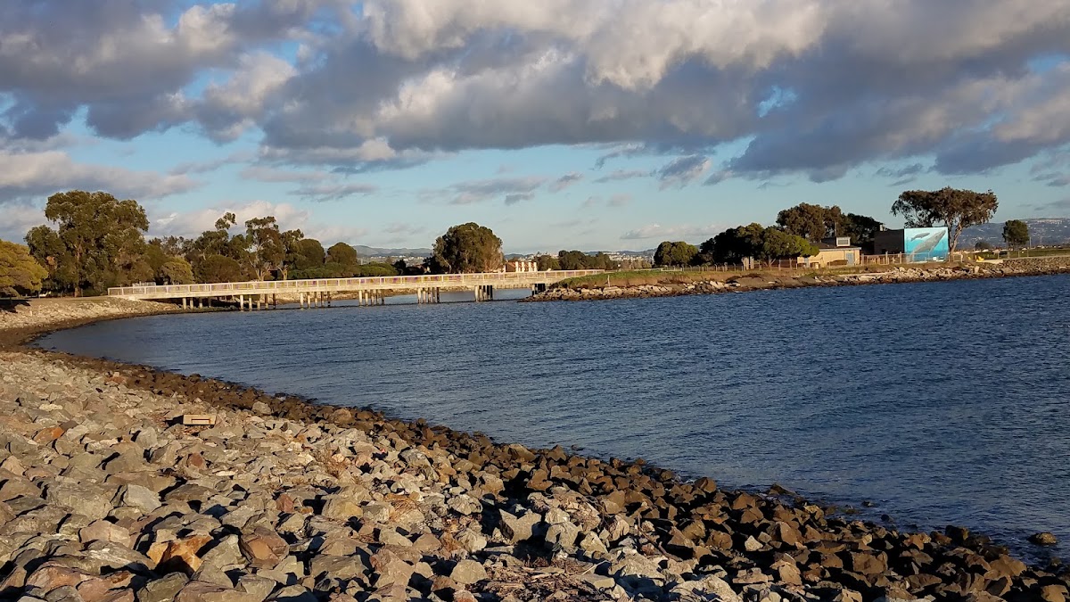 Marina Park photo 3