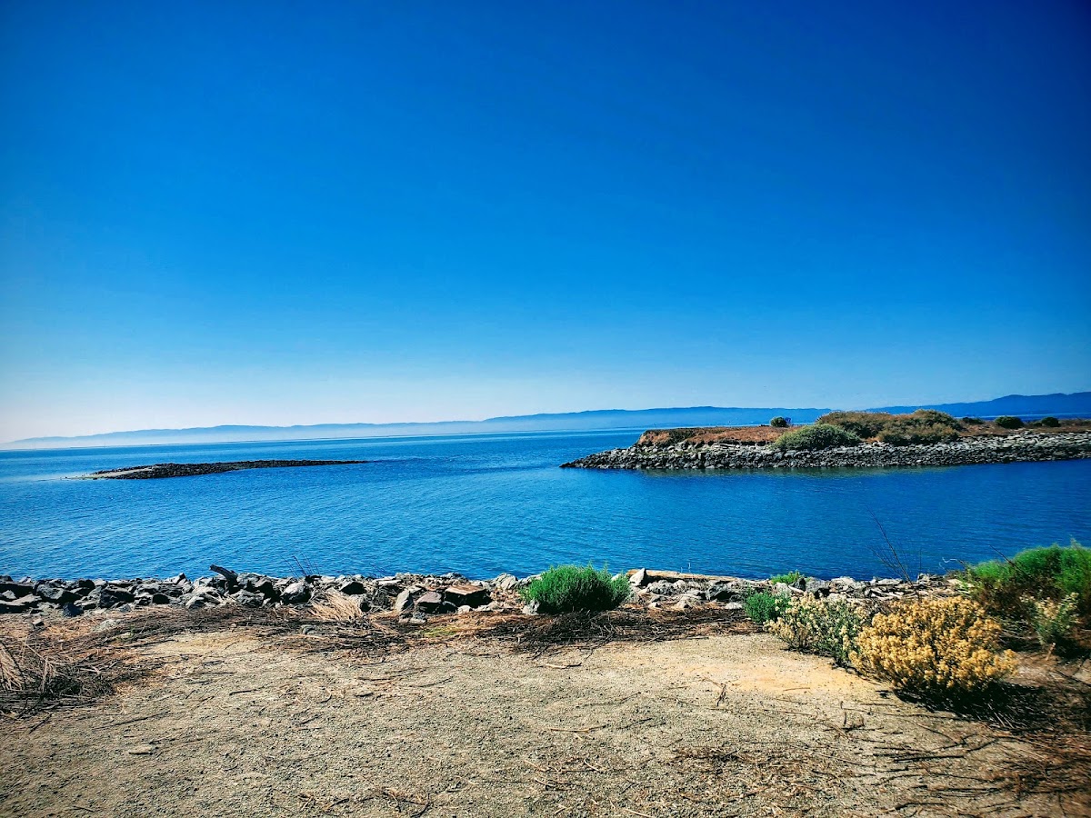 Marina Park photo 4