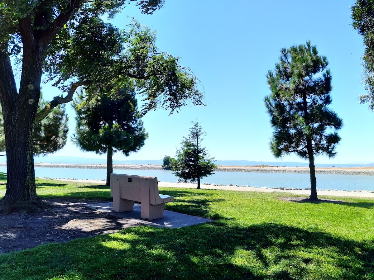 Marina Park photo 5