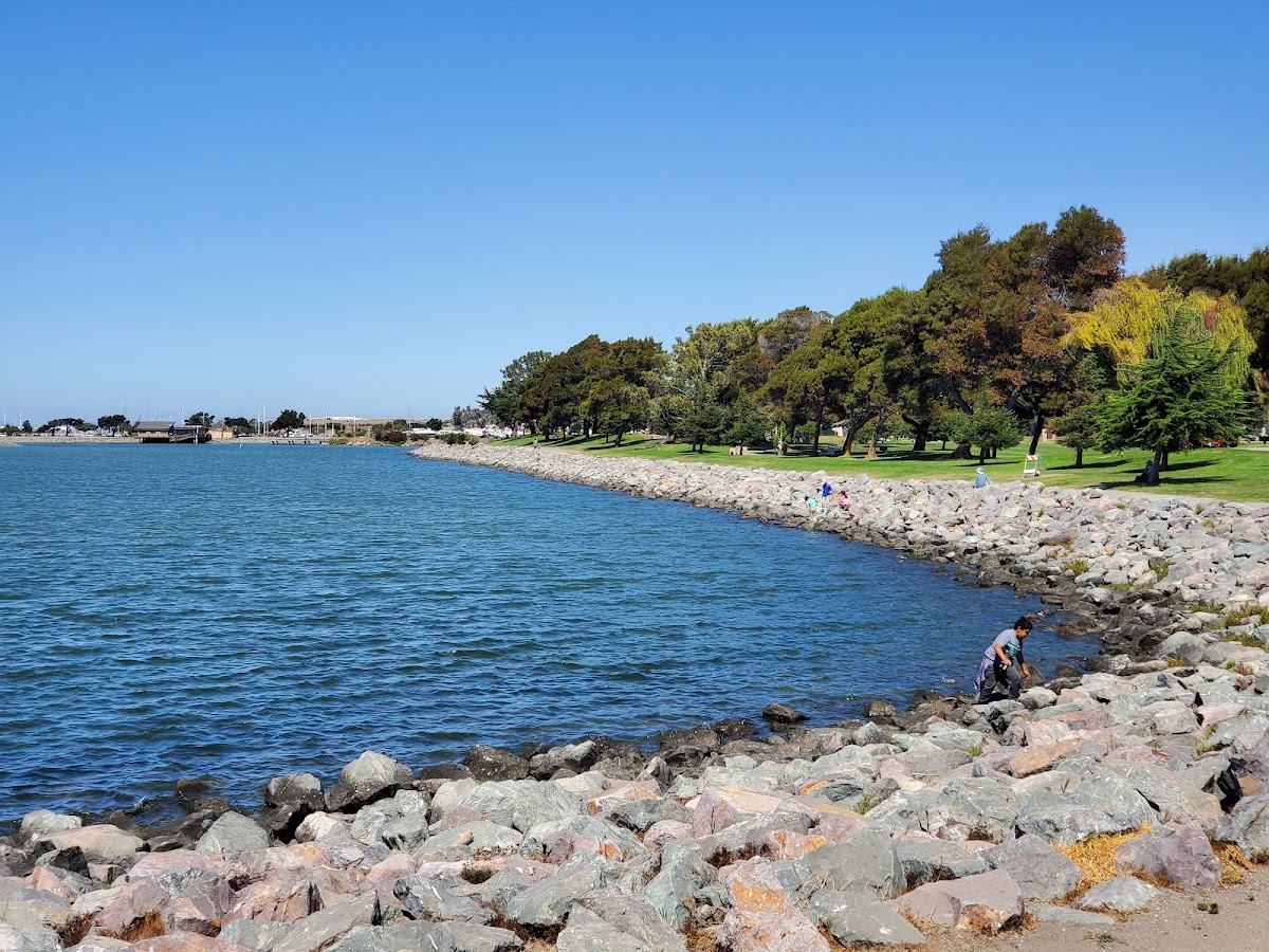 Marina Park photo 6