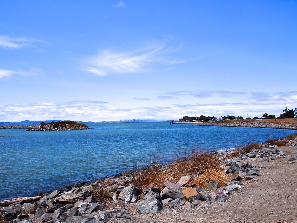 Marina Park photo 7