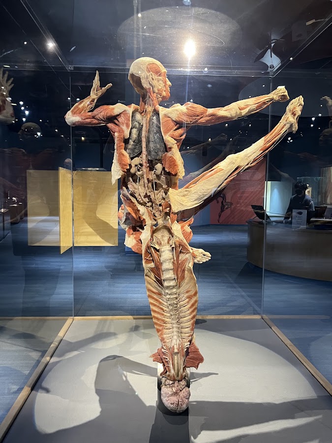The Tech Interactive photo 3