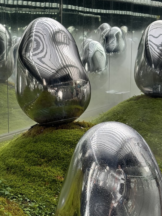 teamLab Planets TOKYO DMM