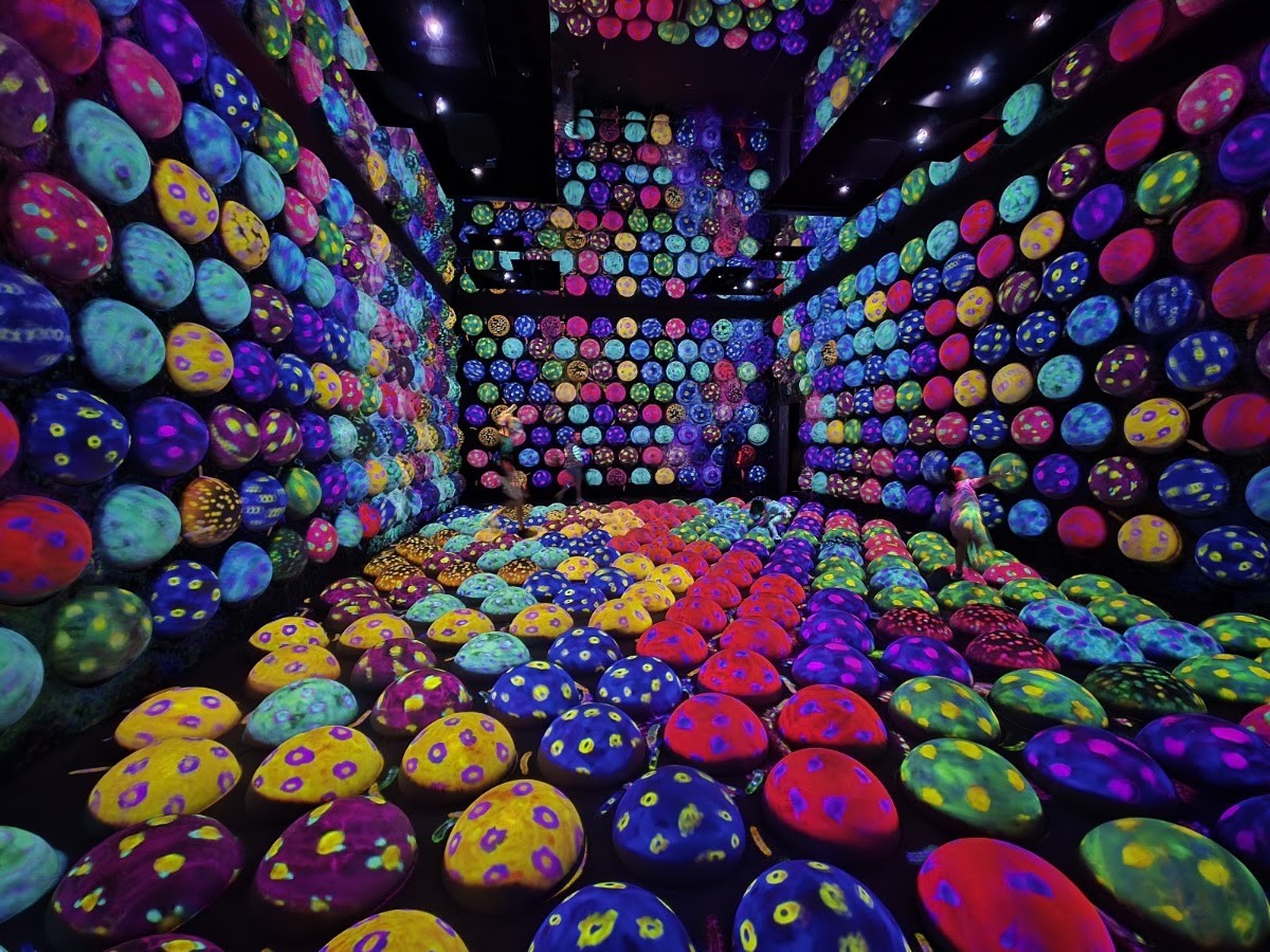 teamLab Planets TOKYO DMM photo 3