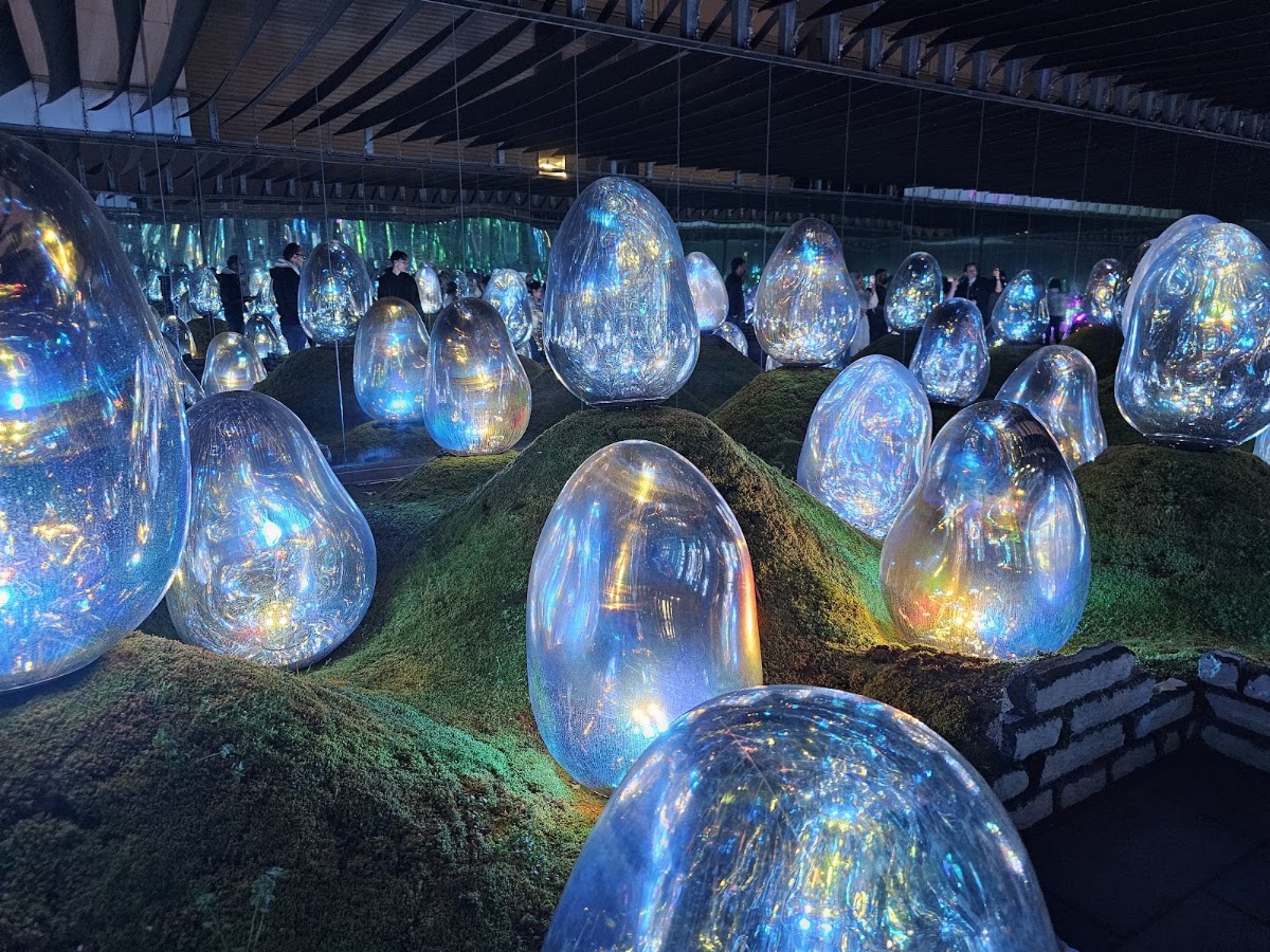 teamLab Planets TOKYO DMM photo 4