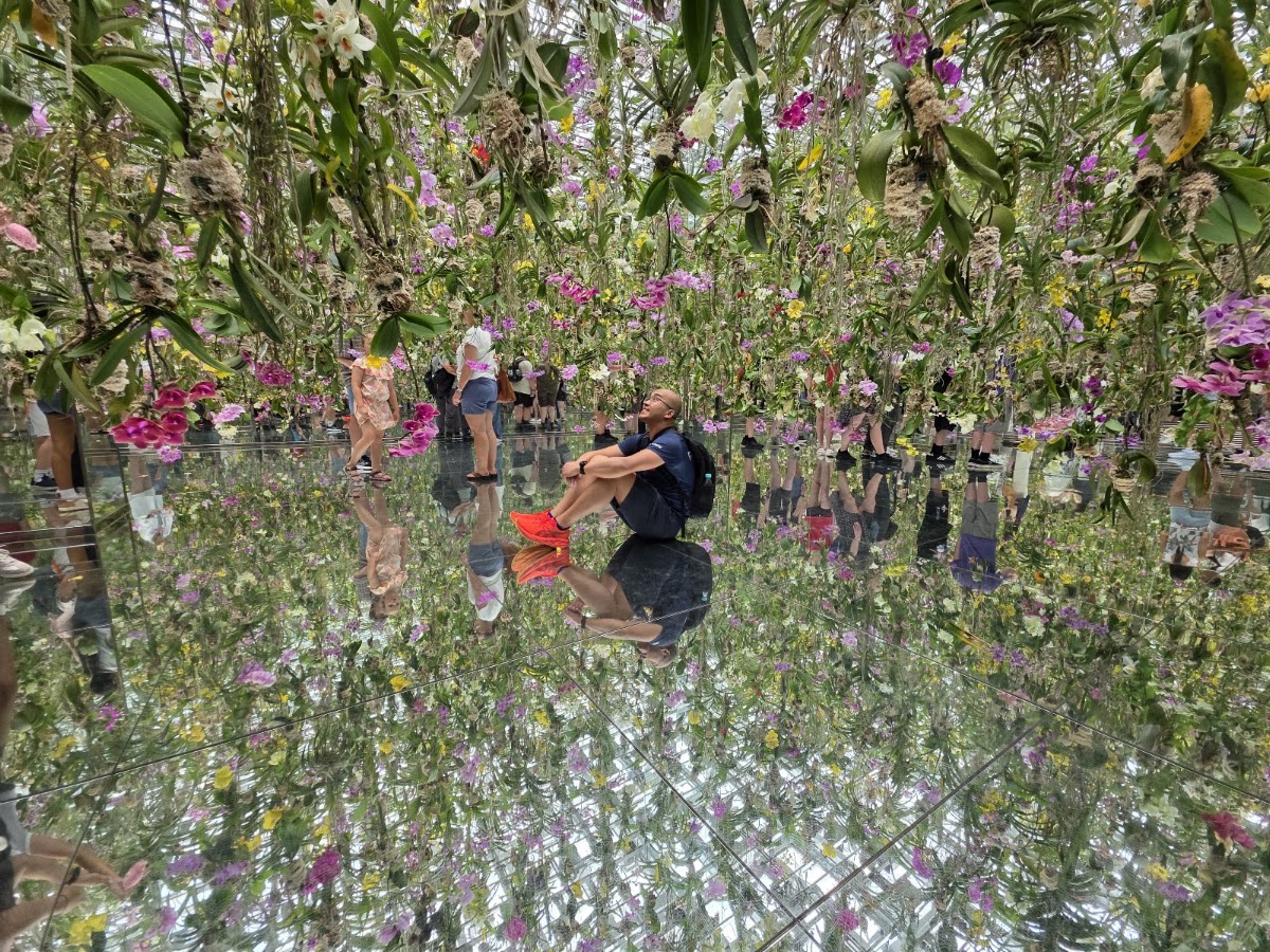 teamLab Planets TOKYO DMM photo 5
