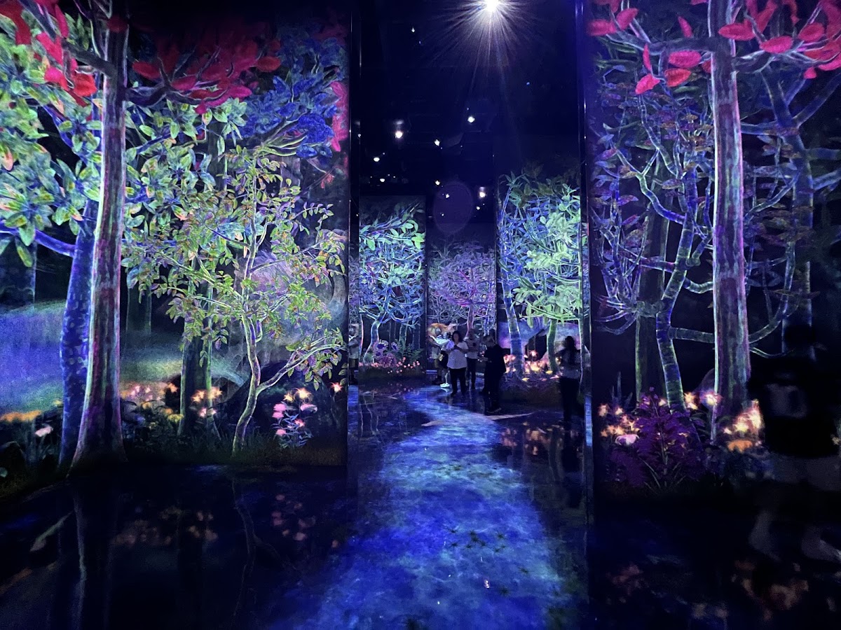 teamLab Planets TOKYO DMM photo 9