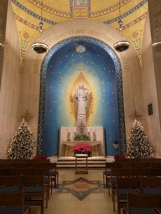 Basilica of the National Shrine of the Immaculate Conception photo 6