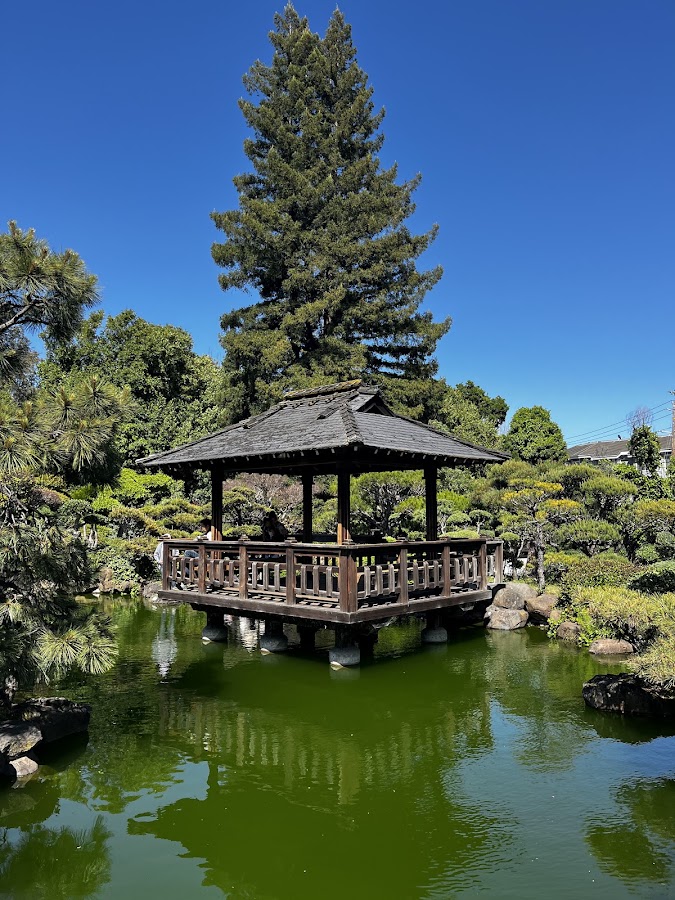 Hayward Japanese Gardens