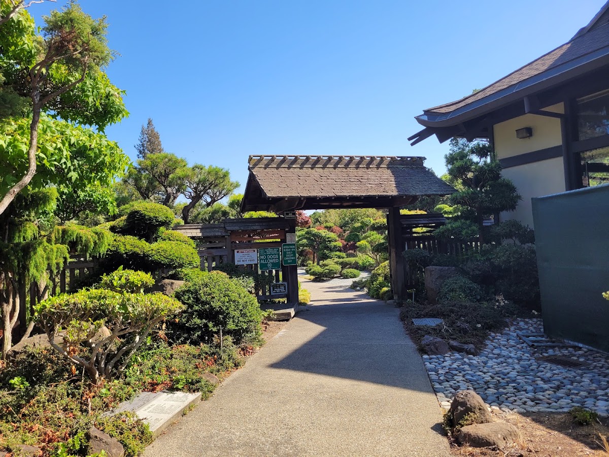 Hayward Japanese Gardens photo 5
