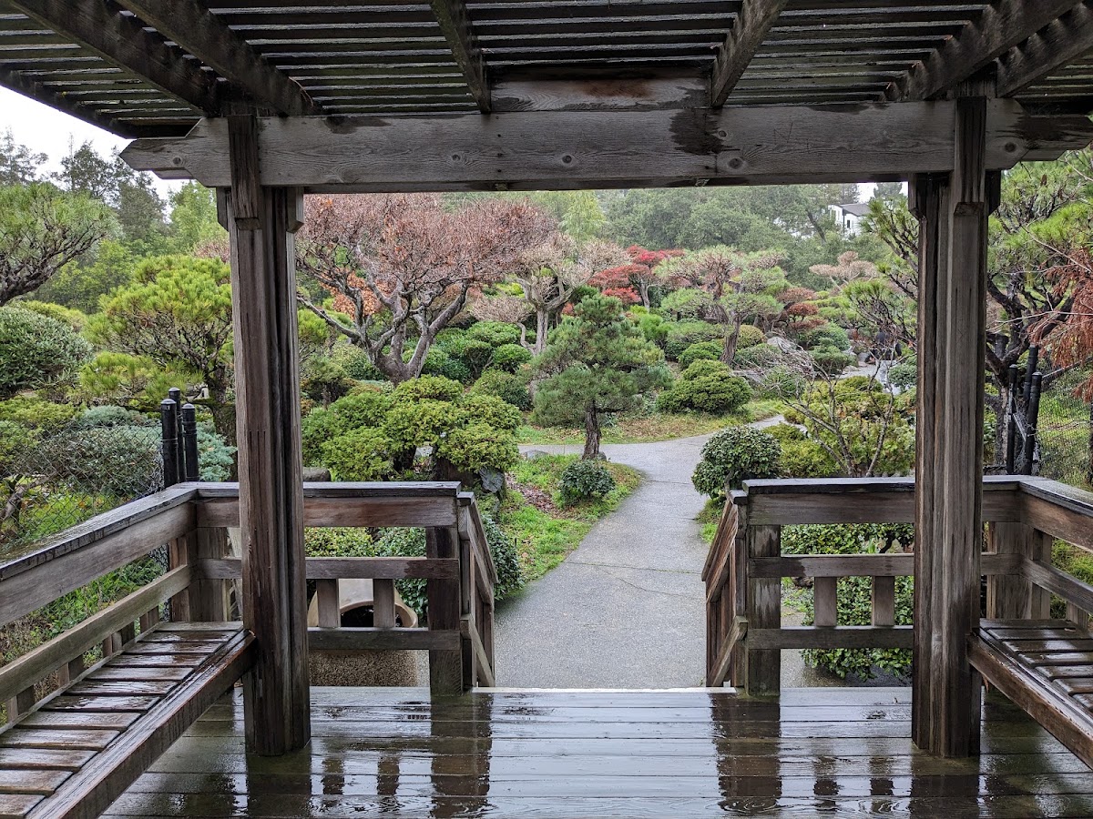 Hayward Japanese Gardens photo 6