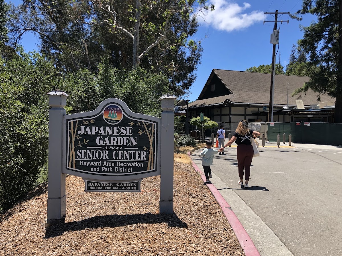 Hayward Japanese Gardens photo 10