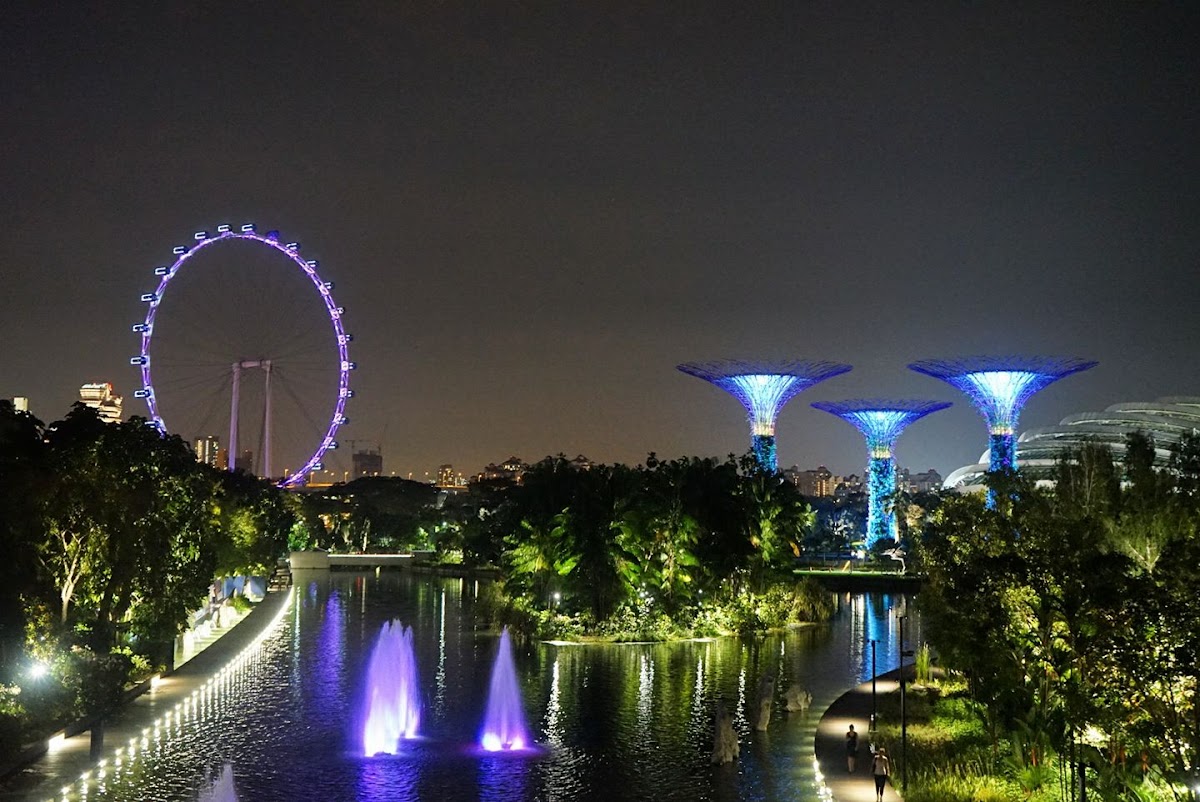 Supertree Grove photo 3
