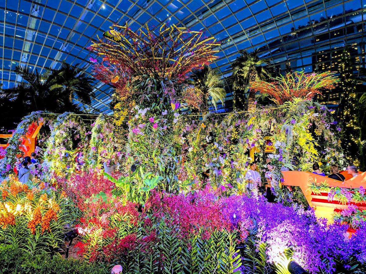 Supertree Grove photo 4