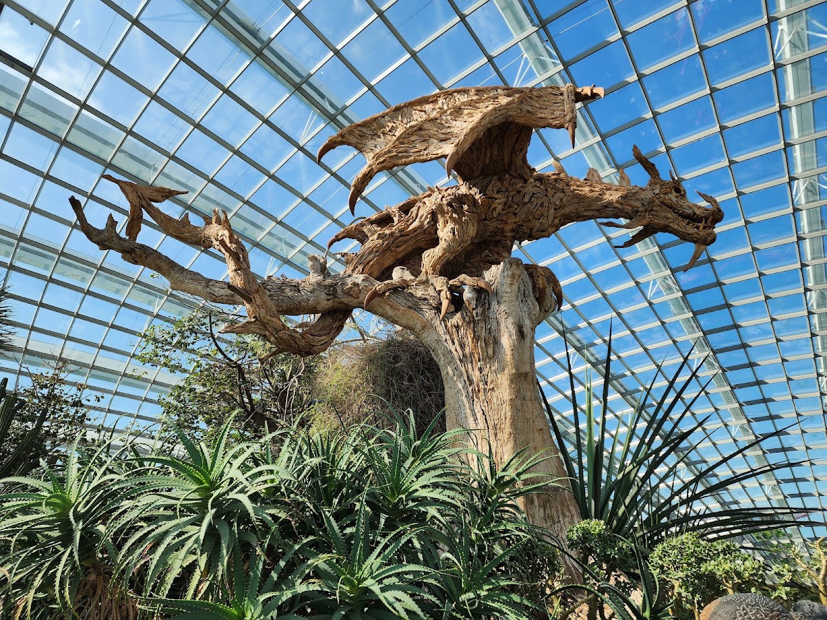 Supertree Grove photo 5