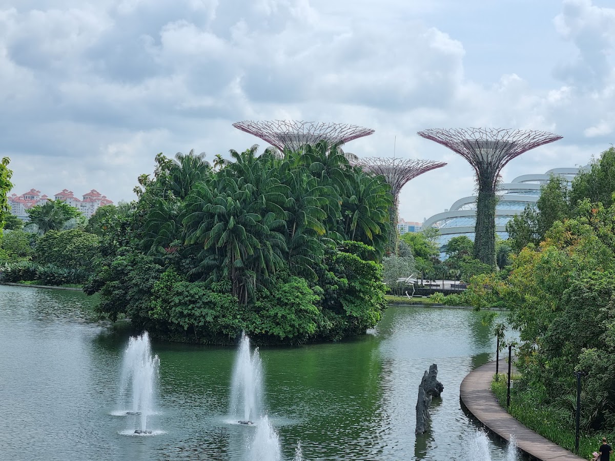Supertree Grove photo 7