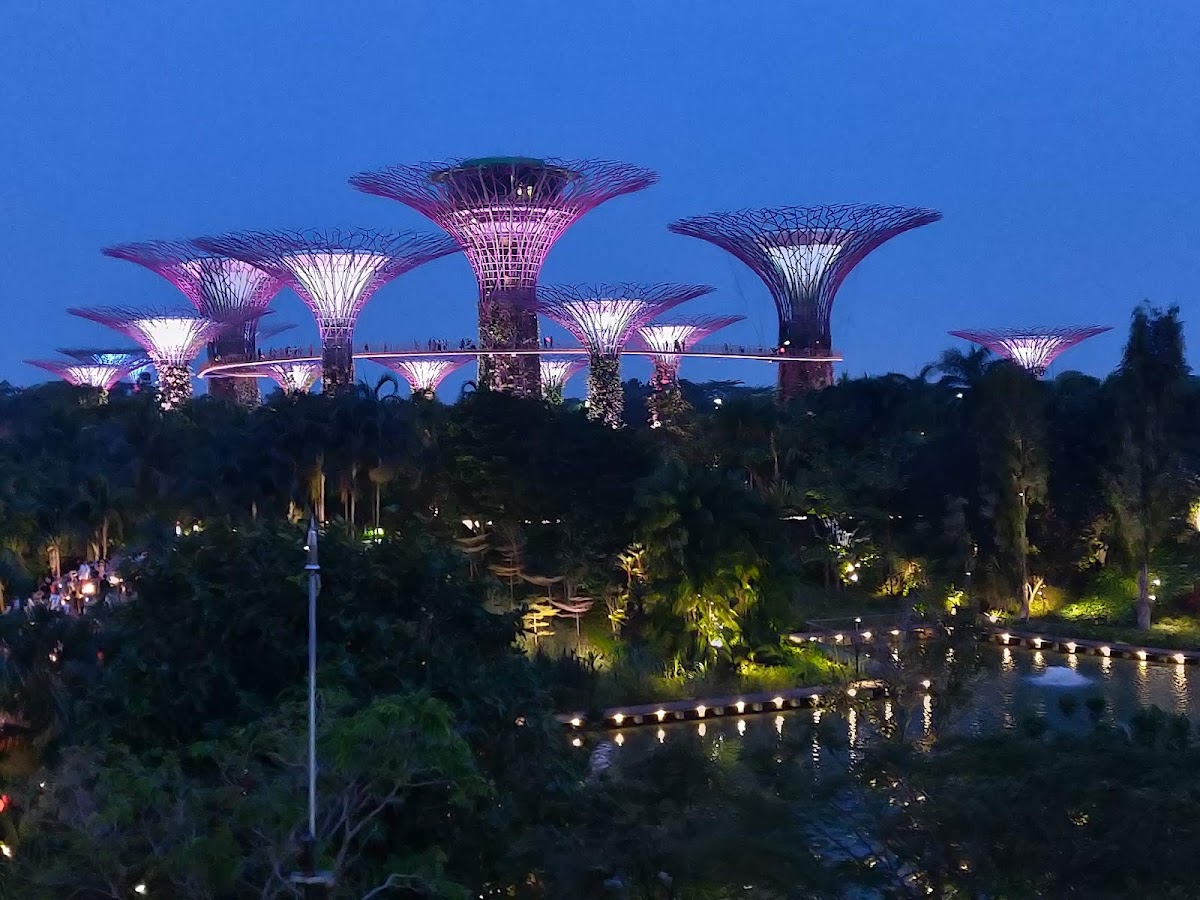 Supertree Grove photo 8