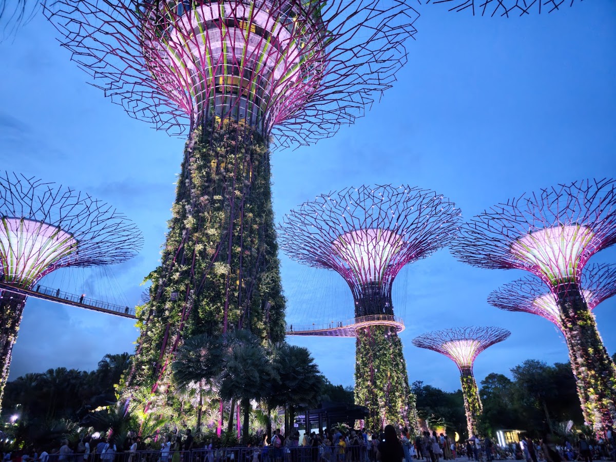 Supertree Grove photo 9