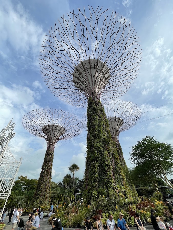 Supertree Grove photo 10