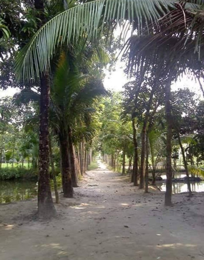 Alaunia Lodge (Non commercial) photo 9