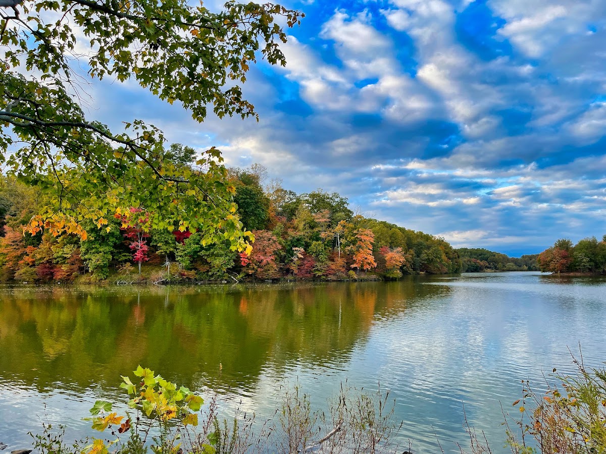 Lake Needwood, Rock Creek Regional Park