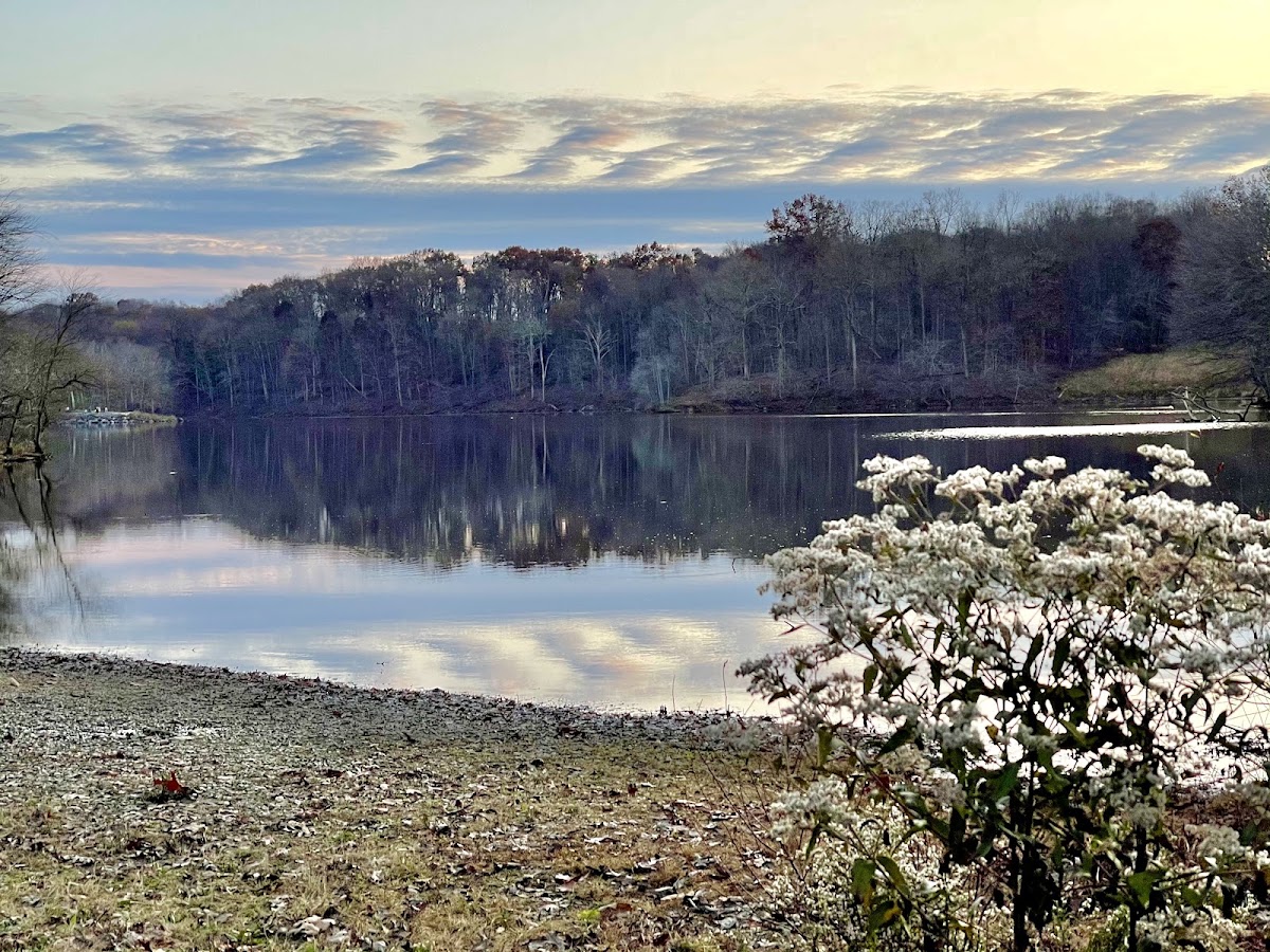 Lake Needwood, Rock Creek Regional Park photo 3