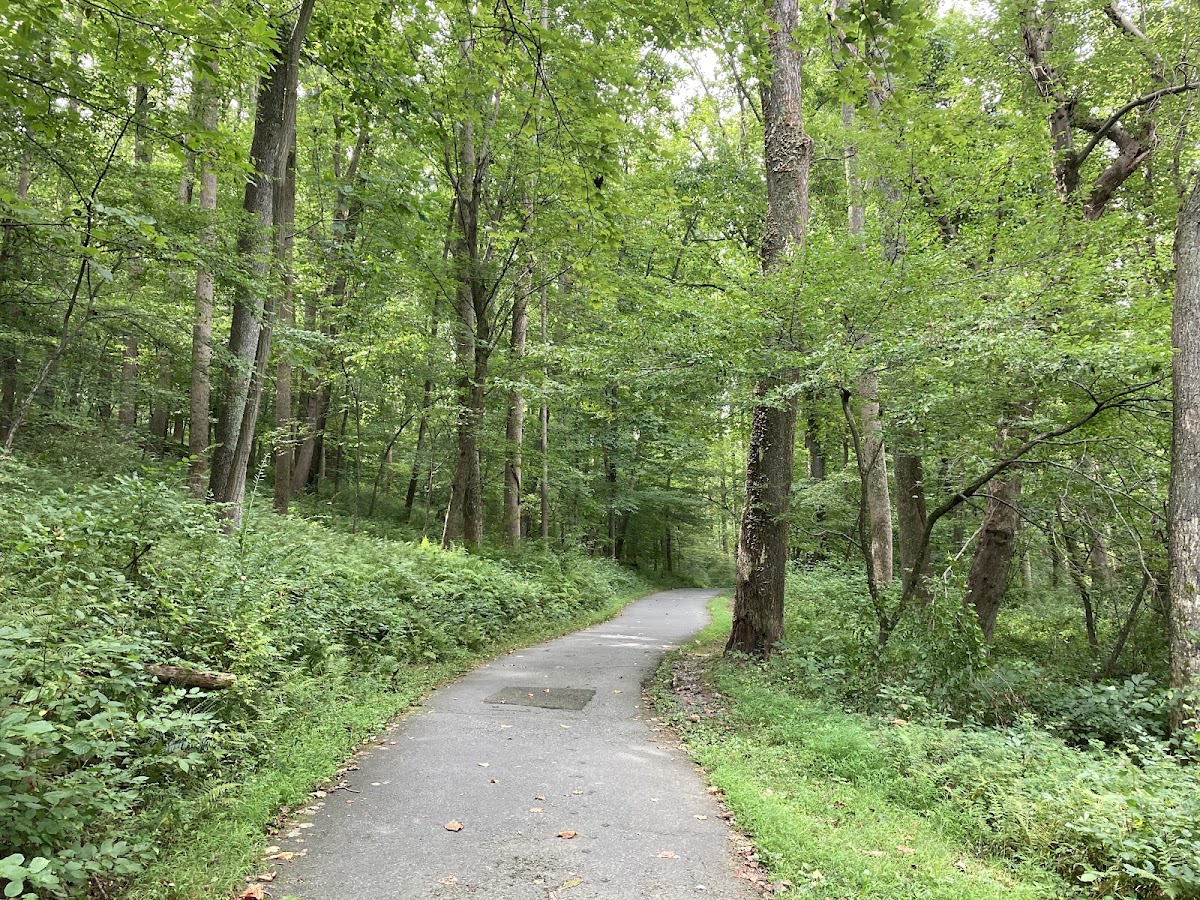 Lake Needwood, Rock Creek Regional Park photo 4