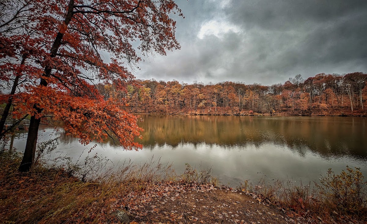 Lake Needwood, Rock Creek Regional Park photo 5