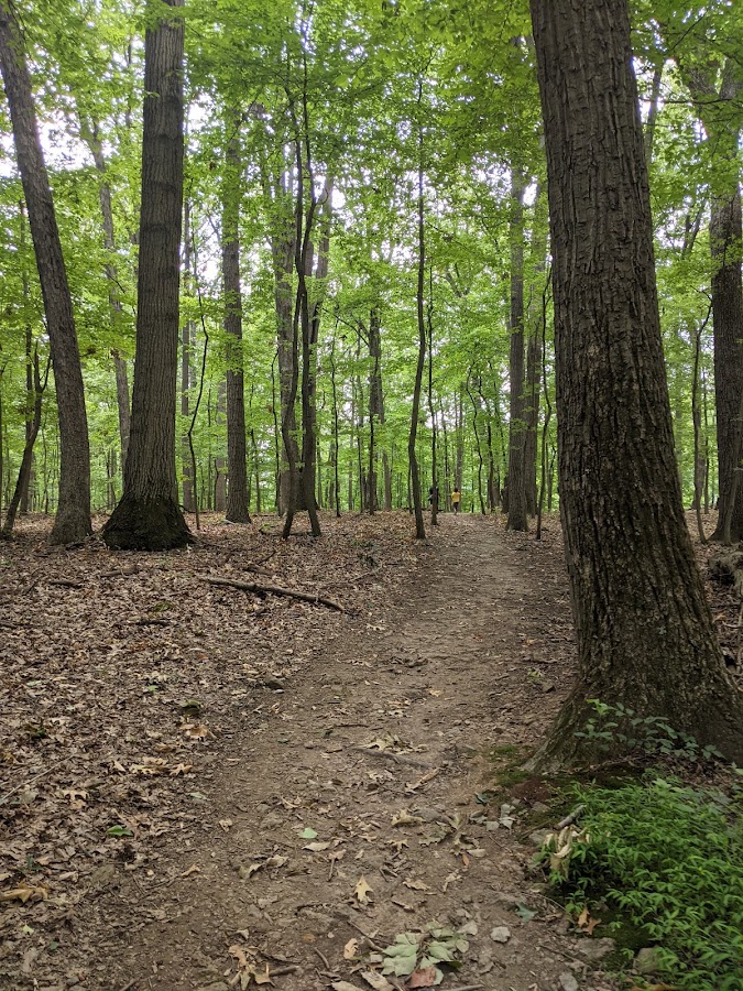 Lake Needwood, Rock Creek Regional Park photo 7