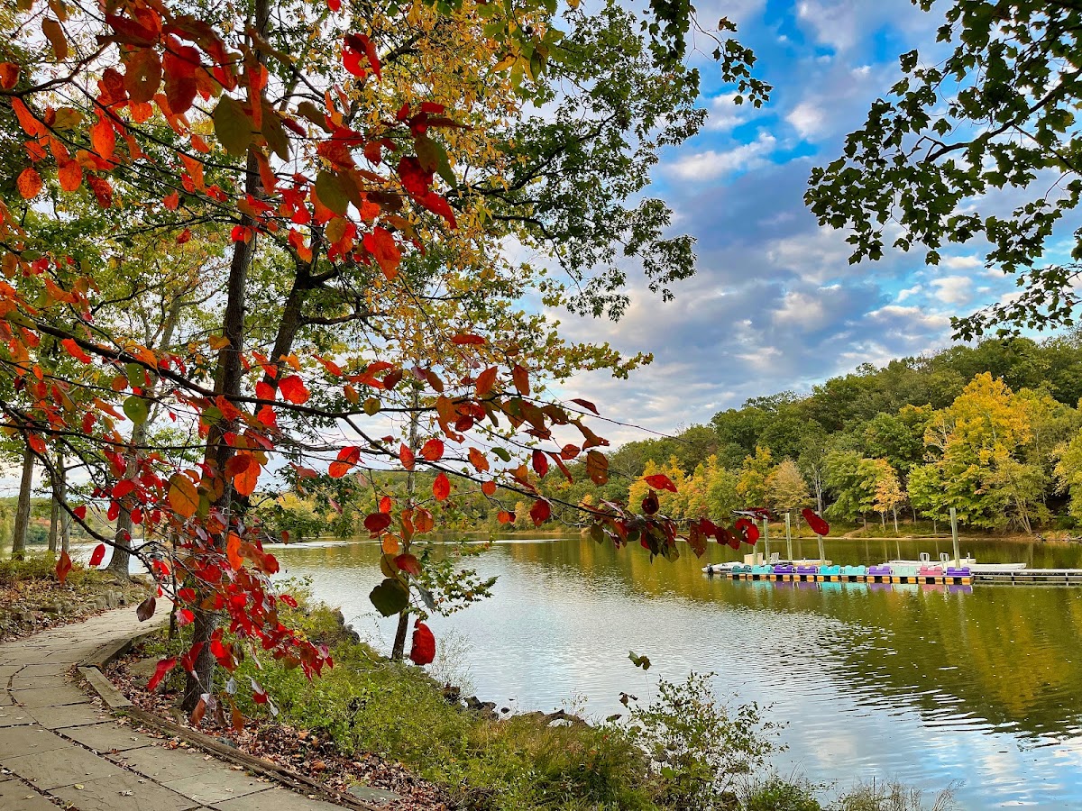 Lake Needwood, Rock Creek Regional Park photo 10