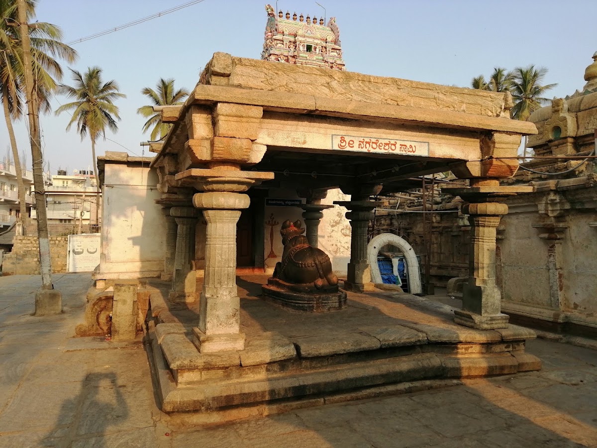 Shri Panchalinga Nageshwara Temple photo 3