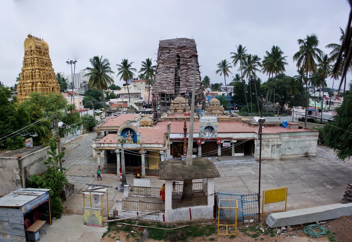 Shri Panchalinga Nageshwara Temple photo 4