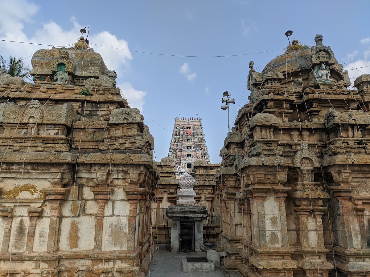 Shri Panchalinga Nageshwara Temple photo 7