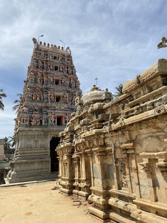 Shri Panchalinga Nageshwara Temple photo 8