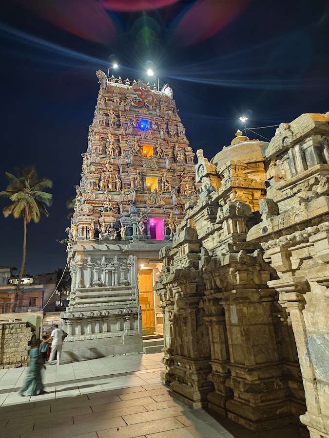 Shri Panchalinga Nageshwara Temple photo 10
