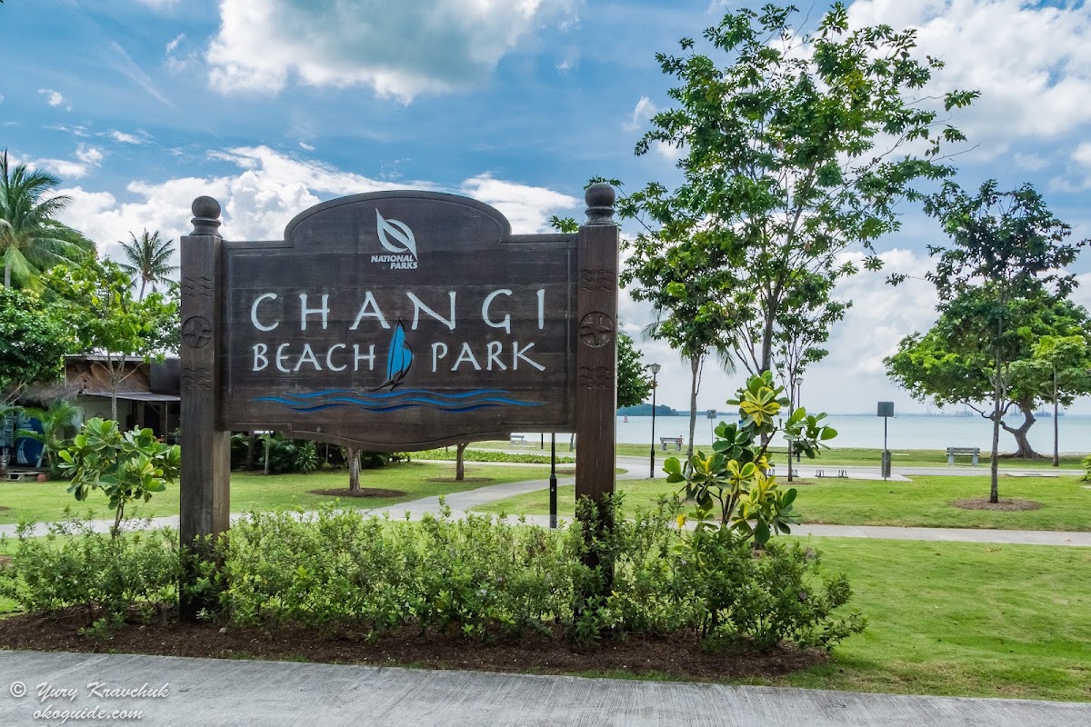Changi Beach Park photo 6