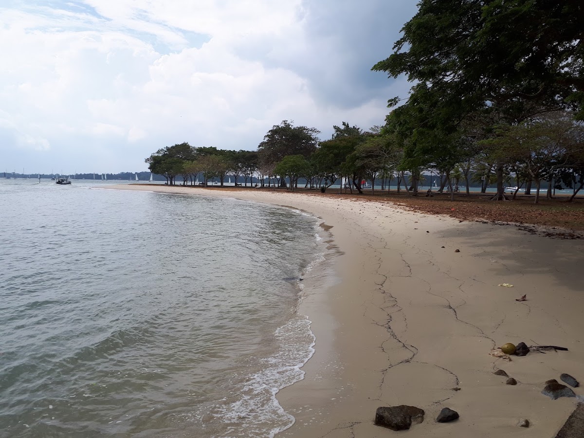 Changi Beach Park photo 7