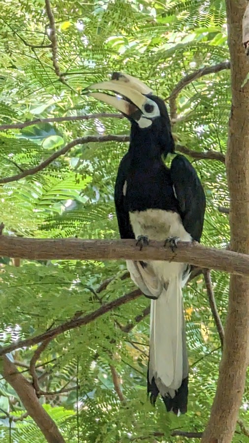 Changi Beach Park photo 10