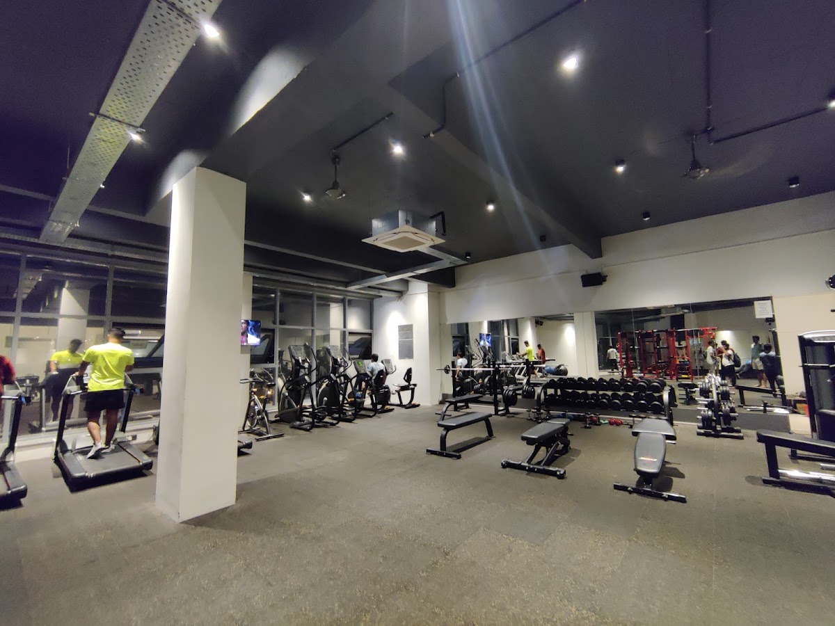 Kings Club photo 7