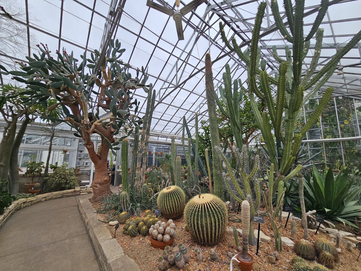 Oak Park Conservatory photo 2