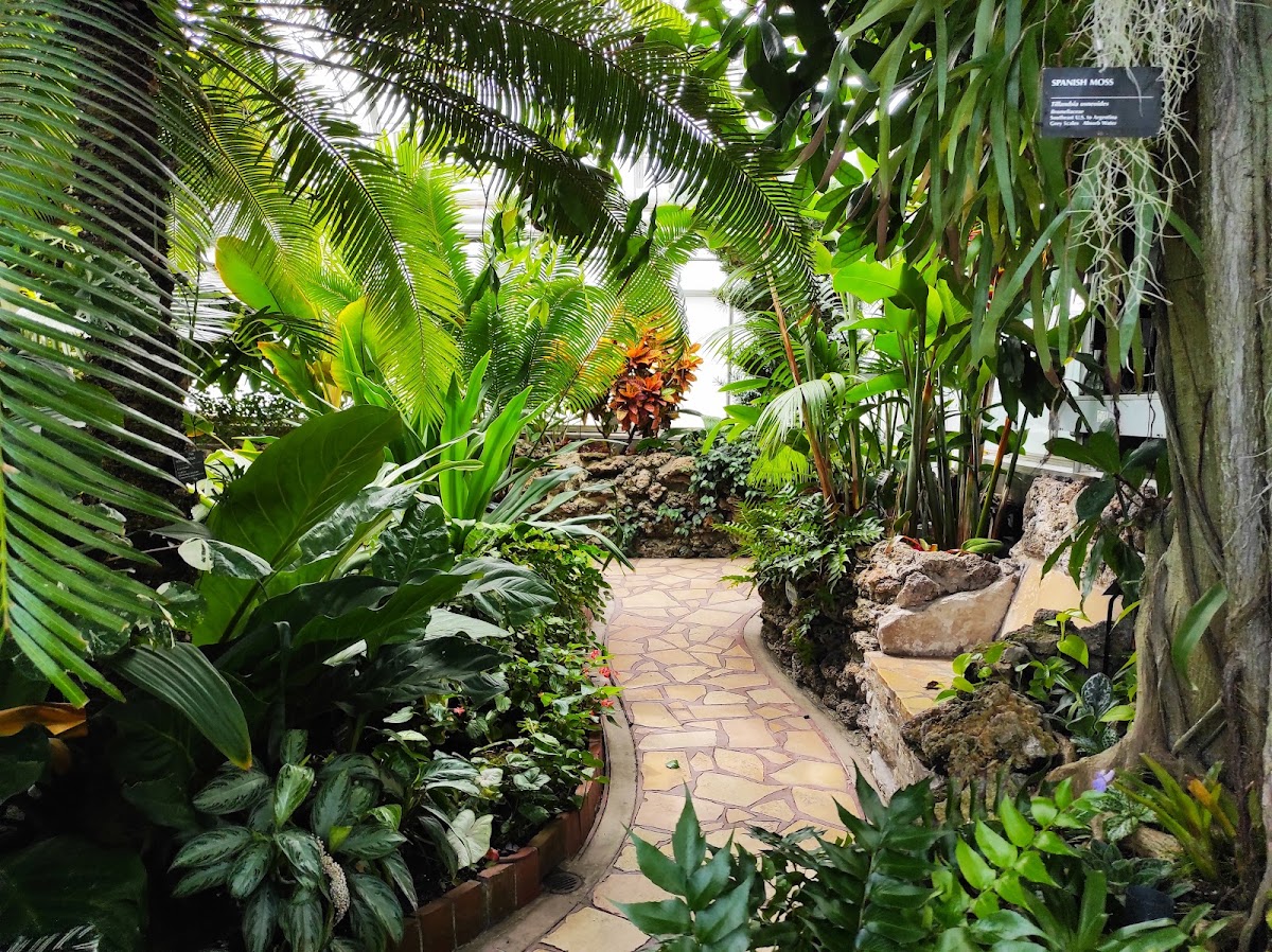 Oak Park Conservatory photo 3