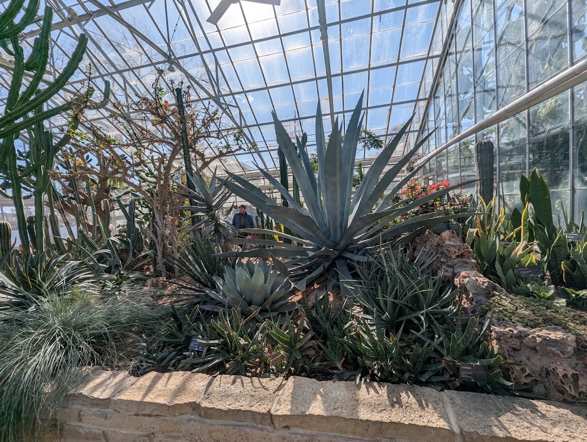 Oak Park Conservatory photo 6