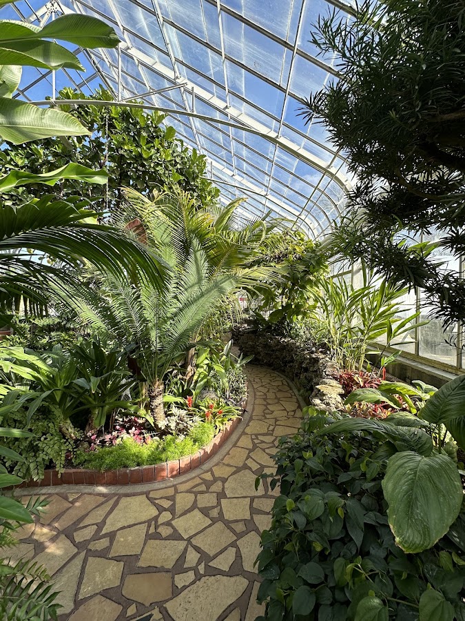 Oak Park Conservatory photo 8