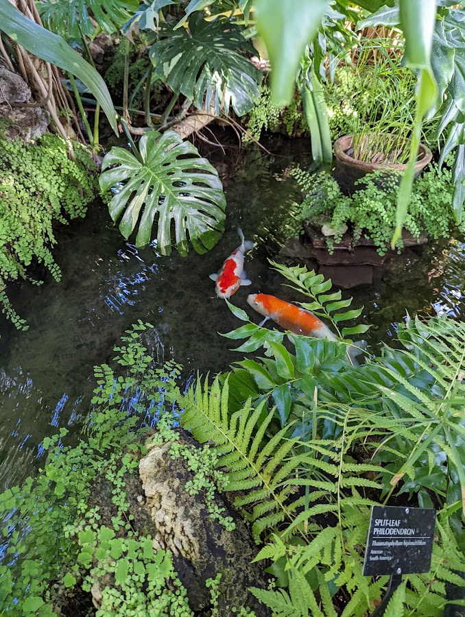 Oak Park Conservatory photo 10