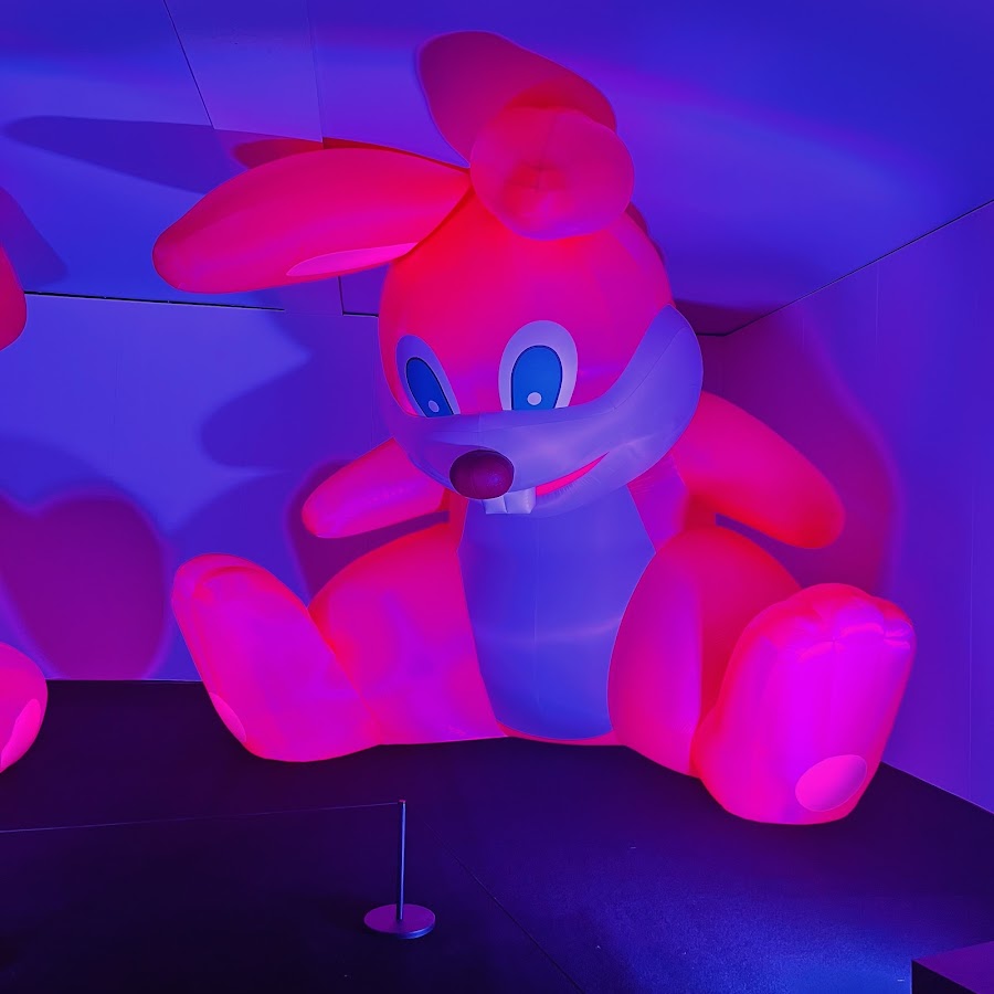 Balloon Museum | EmotionAir Chicago photo 4