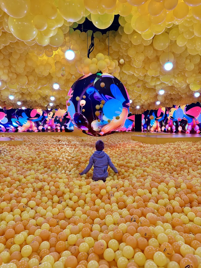 Balloon Museum | EmotionAir Chicago photo 5