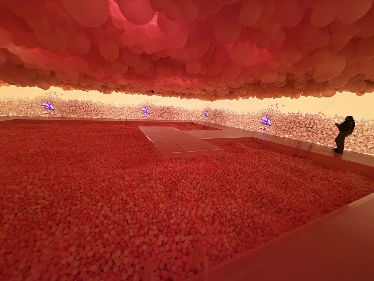Balloon Museum | EmotionAir Chicago photo 6