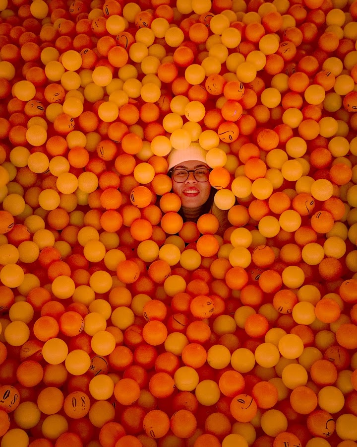 Balloon Museum | EmotionAir Chicago photo 10