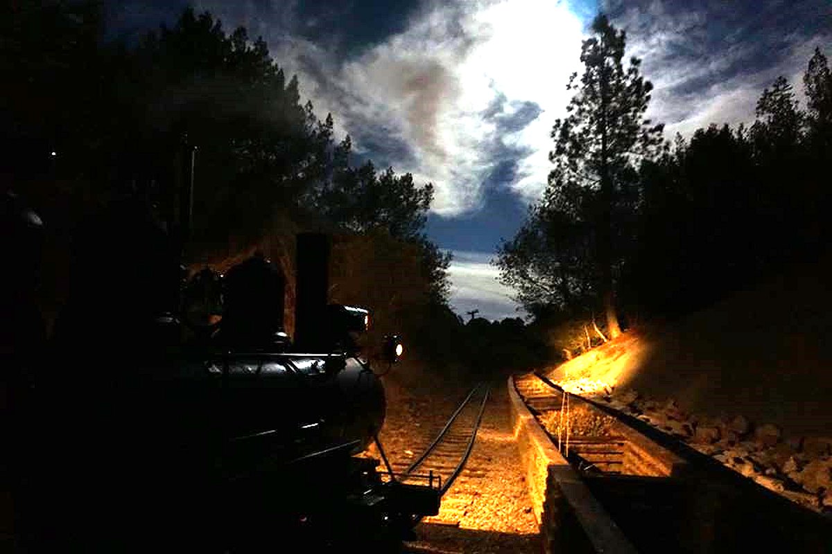 Tilden Park Steam Train at the Redwood Valley Railway